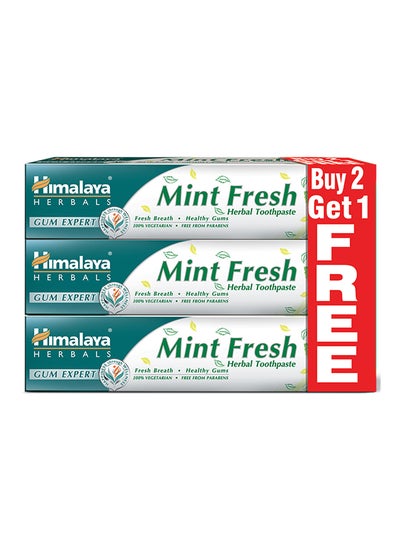 Buy Mint Fresh Herbal Toothpaste 100ml Pack of 3 in UAE