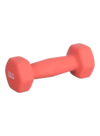 Buy Dumbell 1kg in UAE