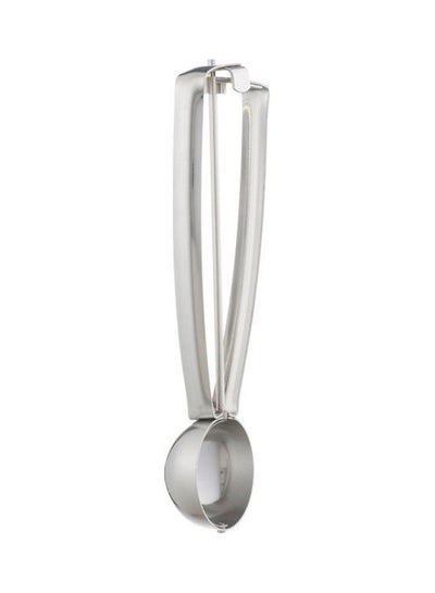 Buy Normal Ice Cream And Food Server Dipper Silver 24cm in Egypt