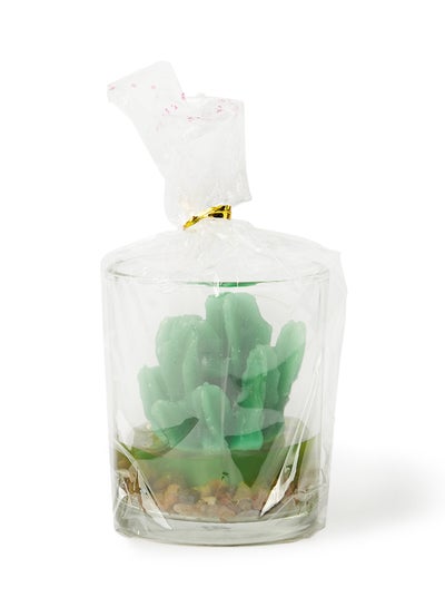 اشتري Cactus Jar Wrapped Gift Scented Candle أخضر 7.5x6سم في الامارات