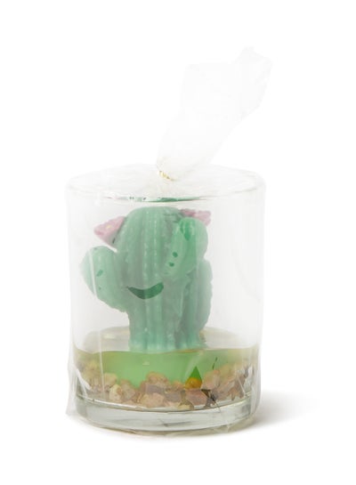 Buy Cactus Jar Wrapped Gift Scented Candle Green 7.5x6cm in UAE