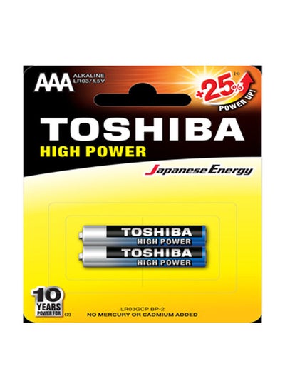 Buy High-Power-AAA-2-Alkaline-Batteries Black in Egypt