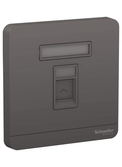 Buy Gang Keystone Jack Wall Plate Grey in UAE