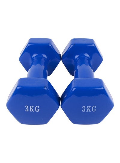 Buy 2-Piece Iron Dumbbell Set 3kg in Saudi Arabia