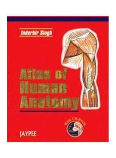 Buy Atlas Of Human Anatomy Paperback English by Inderbir Singh in UAE