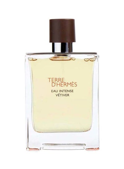 Buy Terre D´Hermes Eau Intense Vétiver EDP 100ml in Egypt