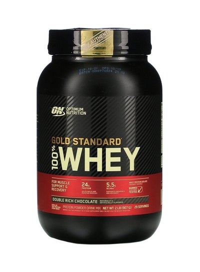 Buy Double Rich Chocolate: Gold Standard Whey - 2lb in Saudi Arabia