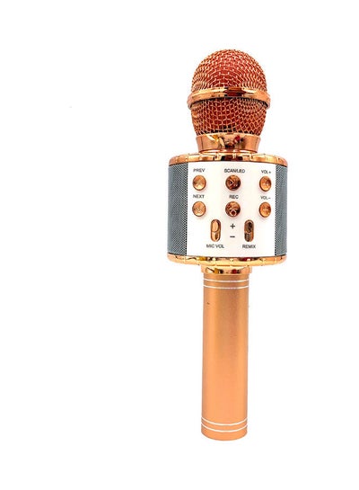 Buy Audio Integrated Condenser Microphone LU-VH50-15 Gold in UAE