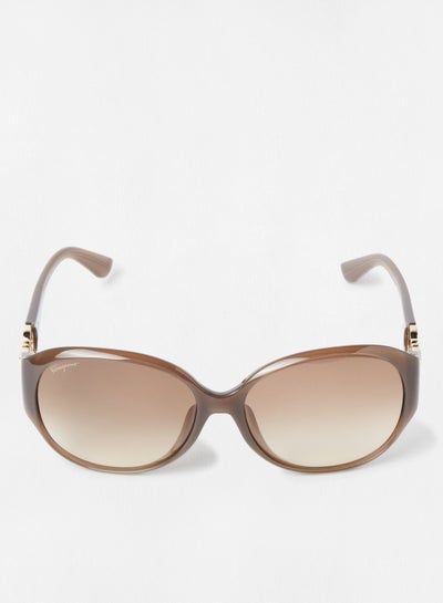Buy Women's Oval Sunglasses in UAE
