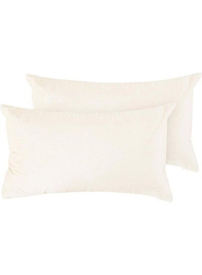 Buy 2-Piece Velvet Decorative Filled Cushion White in Saudi Arabia