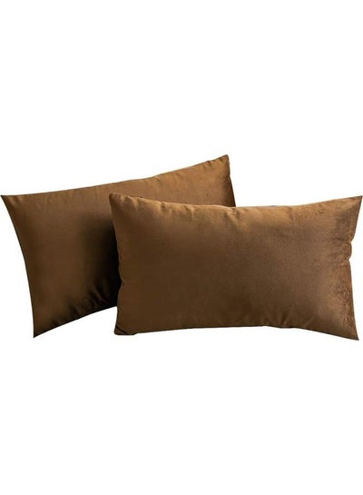 Buy 2-Piece Velvet Decorative Filled Cushion Brown in Saudi Arabia