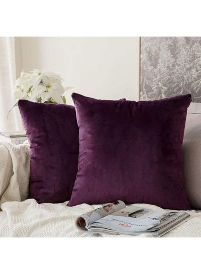 Buy 2-Piece Simple Velvet Decorative Cushion Purple in Saudi Arabia