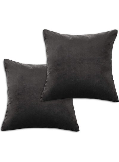 Buy 2-Piece Simple Velvet Decorative Cushion Black in Saudi Arabia