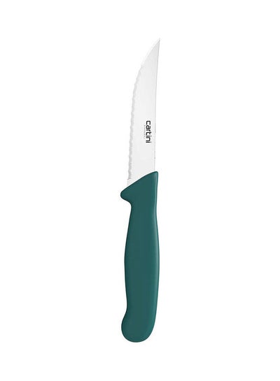 Buy Steak Knife green 21.7cm in Saudi Arabia