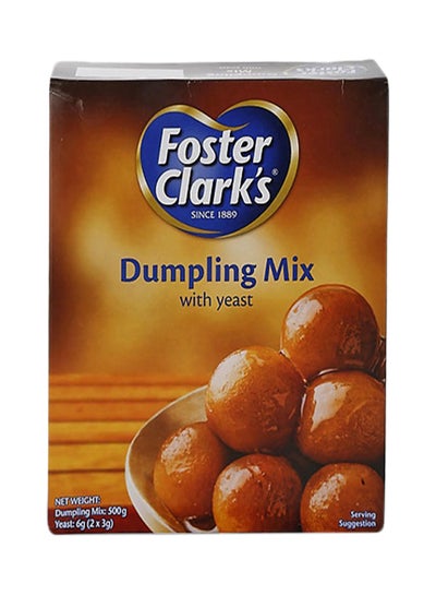 Buy Dumpling Mix With Yeast 500grams in UAE