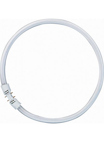 Circular 55w Fluorescent T5 Tube 2GX13 Daylight White 6500k 306mm Diameter - View #9