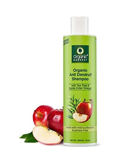 Buy Anti Dandruff Shampoo Clear 250ml in UAE