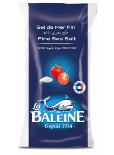 Buy Fine Sea Salt Iodalized 1kg in Egypt