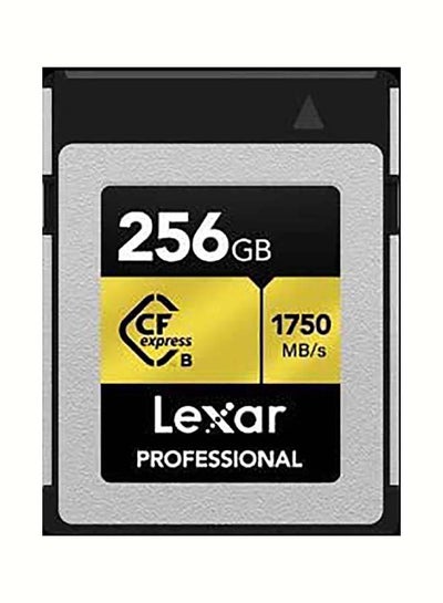 Buy Professional Cfexpress Type B 256 GB in UAE