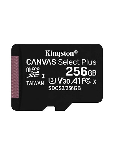 Buy 256GB micSDXC Canvas Select Plus 100R A1 C10 Single Pack w/o ADP 256.0 GB in Egypt