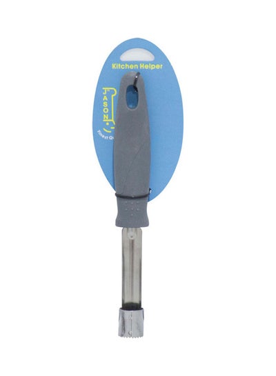 Buy Lemon Zester With Plastic Handle Silver/Grey 25x5x5cm in UAE