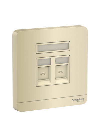 Buy Two Gang Keystone Wallplate With Shutter Gold 86x15x86mm in UAE