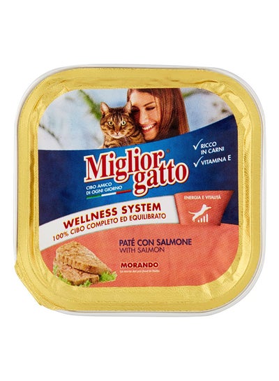 Buy Gatto Salmon Wet Food 100grams in UAE