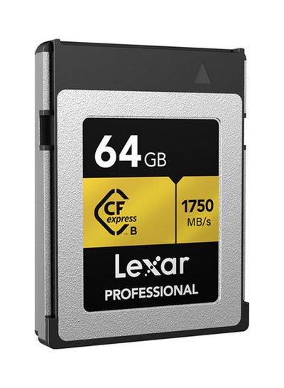 Buy Professional CFexpress Type-B Memory Card 64.0 GB in Egypt