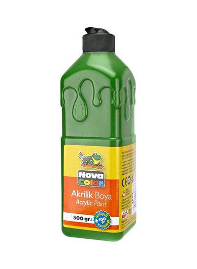 اشتري Color Acrylic Paint Bottle 500 Grams Green في مصر