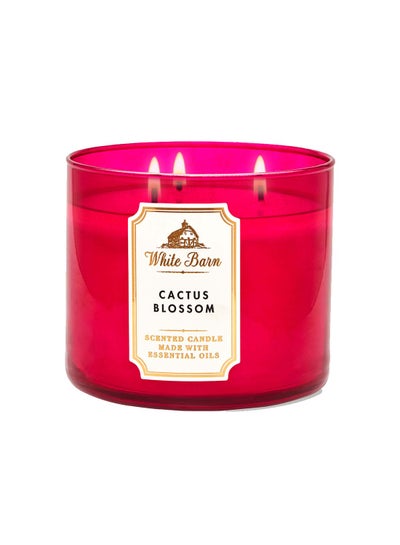 Buy Cactus Blossom 3 Wick Candle Q026226980 Multicolour in Egypt