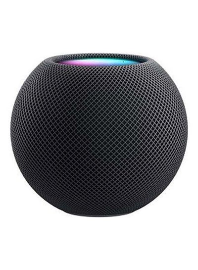 Buy Homepod Mini Space Gray in UAE