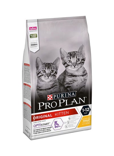 Buy Dry Food Kitten Multicolour NULL#kg in UAE