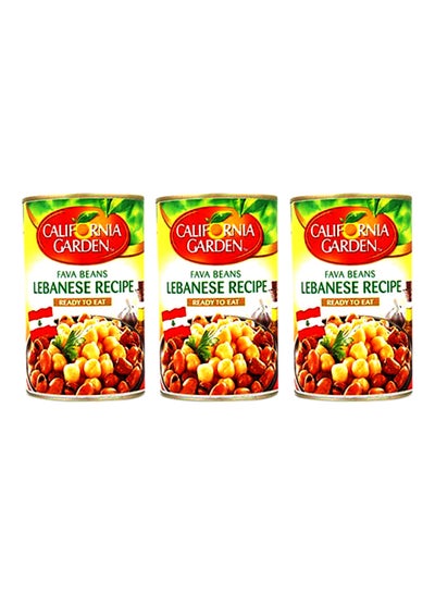 Buy Fava Beans Lebanese Recipe 450grams Pack of 3 in UAE