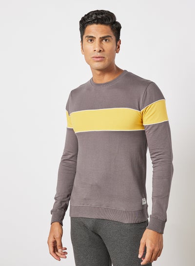 Buy Regular Fit Sweatshirt Dark Grey in UAE