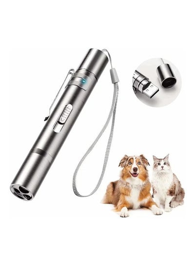 Buy LED Laser Light Pointer Silver in UAE