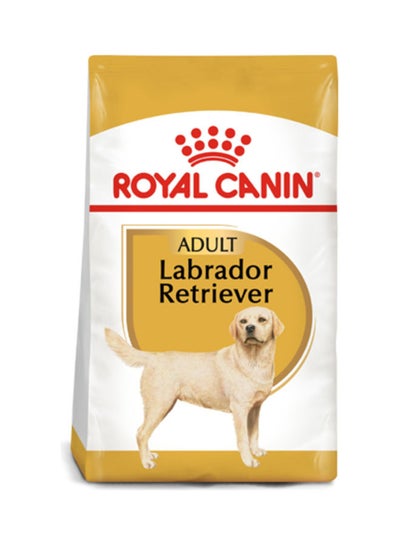 Buy Breed Health Nutrition Labrador Retriever Adult Multicolour 3kg in UAE