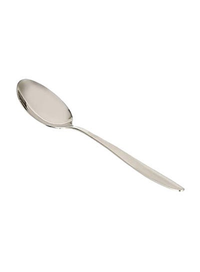 اشتري Stainless Steel Salad Serving Spoon فضي في الامارات