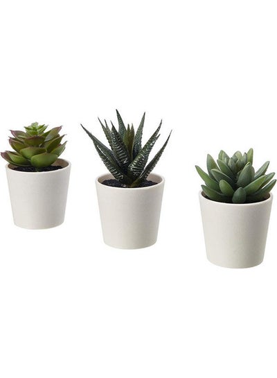 اشتري Fejka Artificial Potted Plant With Pot, In-Outdoor Succulent Multicolour في الامارات