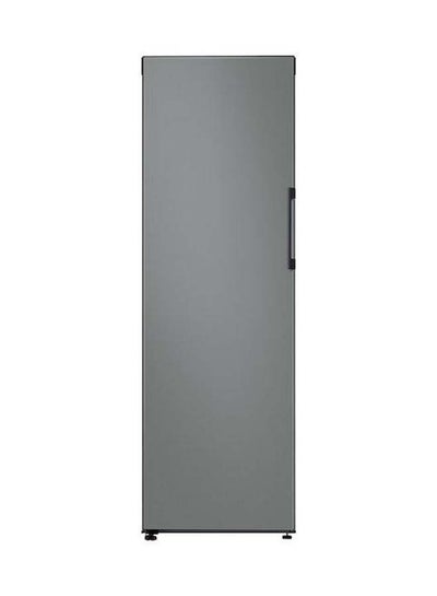 Buy Bespoke 1.85M One Door Freezer 315L With Customizable Colors Panels RZ32T7405AP Grey in UAE