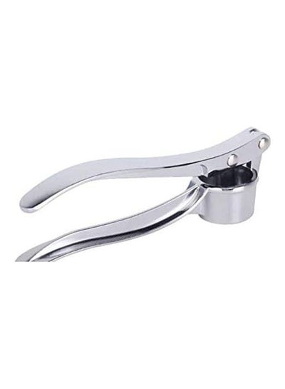 Buy 1 Piece Multifunctional Stainless Steel Garlic Press Manual Garlic Masher Silver 16cm in Egypt