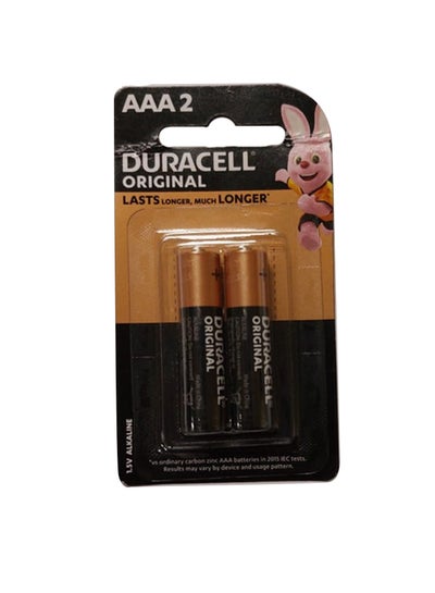 Buy 2-Piece Alkaline AAA Battery Set Black/Gold in UAE