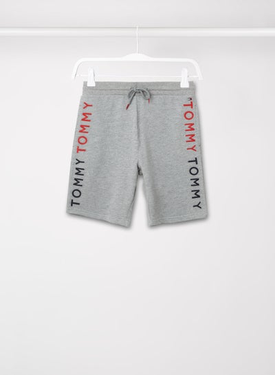 Buy Embroidered Logo Shorts Grey in Saudi Arabia