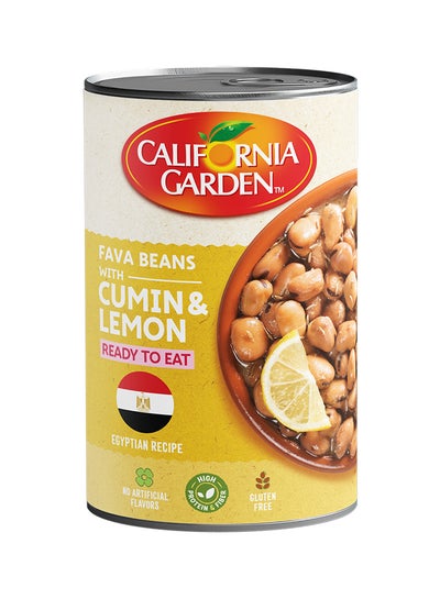 Buy Canned Fava Beans Egyptian Recipe 450grams in UAE