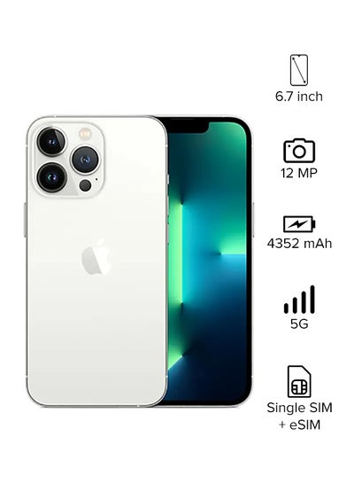 Iphone 13 Pro Max 256gb Silver 5g With Facetime International Specs Price In Uae Noon Uae Kanbkam