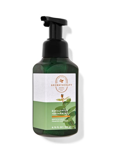 Buy Eucalyptus Spearmint Gentle Foaming Hand Soap 259ml in UAE