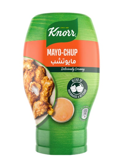 Buy Blend Of Mayonnaise And Ketchup 295ml in UAE