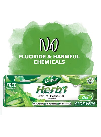 Buy Herbal Aloe Vera Toothpaste 150g +Toothbrush Free in UAE