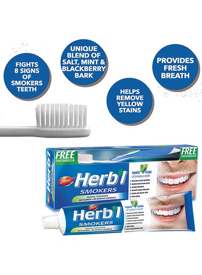 Buy Herbal Smokers Toothpaste 150g +Toothbrush Free in UAE