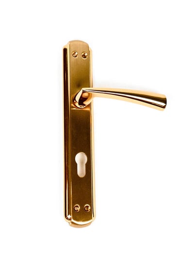 Buy Hazal Cylinder Door Handle Gold in Egypt