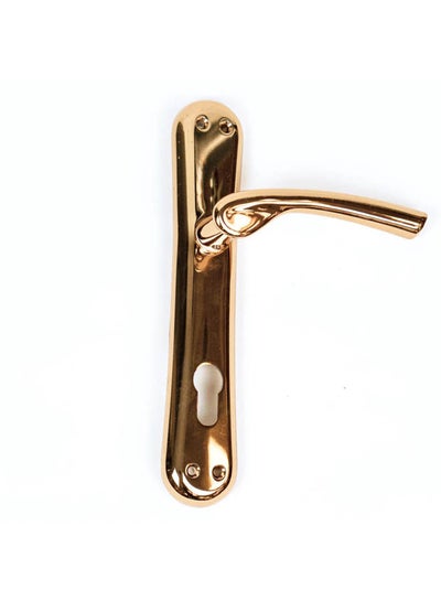 Buy Pola Cylinder Door Handle Gold in Egypt